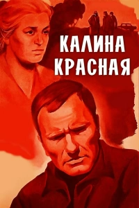  Калина красная 